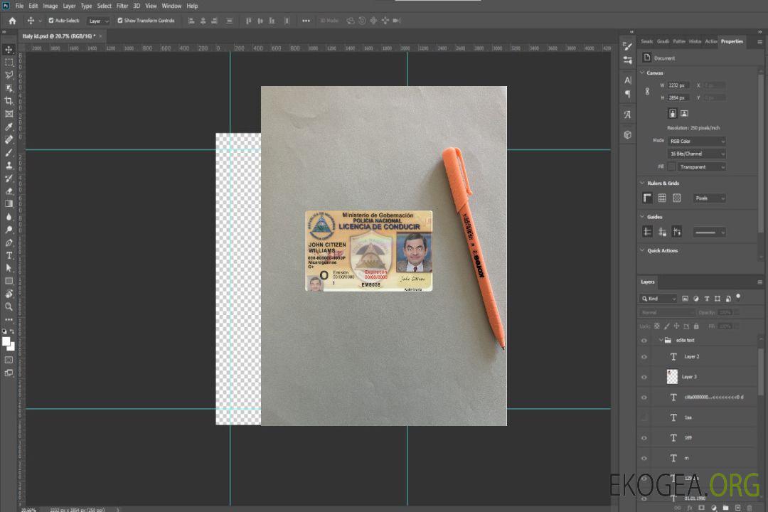 Photolook du permis de conduire du Nicaragua AVANT template
